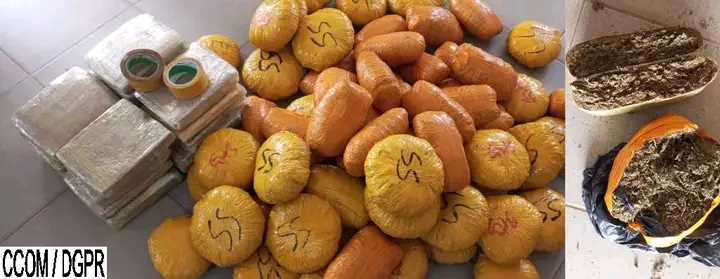 Bénin: Plus de 60 kg de chanvre indien saisis par la police républicaine  ‎