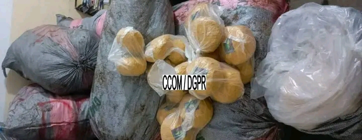 Lutte contre le trafic de drogue: 511 kg de chanvre indien saisis à Sèmè-Podji ‎