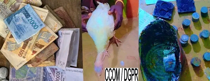 Covè : À la poursuite de dindons volés, la police découvre un trésor de faux billets !