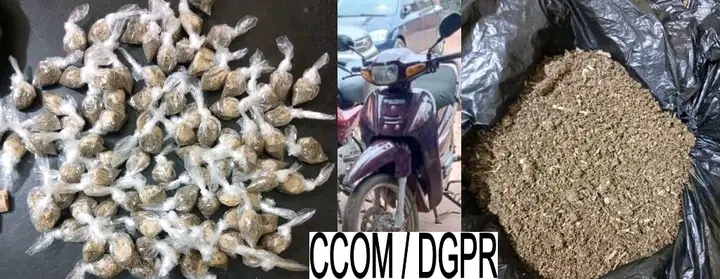 Lutte contre l’insécurité à Cotonou: 21 personnes arrêtées dans des fumoirs à Dantokpa  