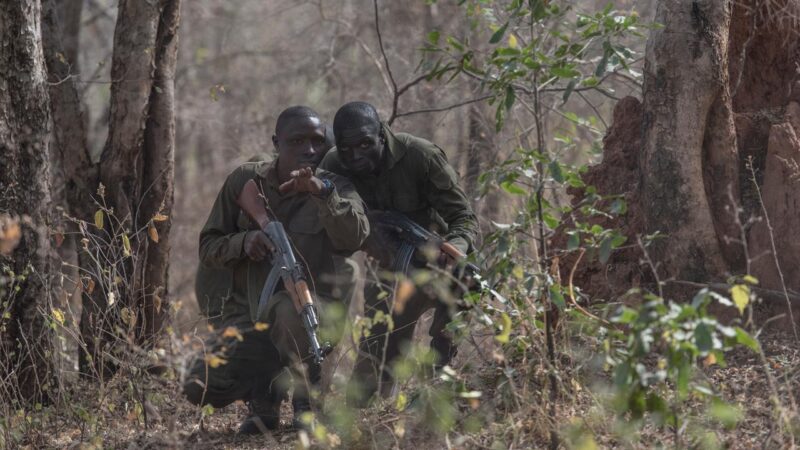 Lutte contre le terrorisme: L’armée béninoise anéantit plusieurs terroristes
