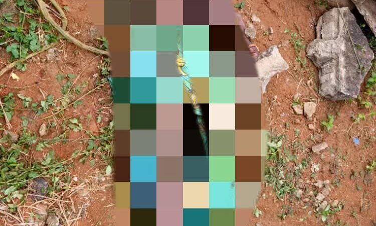 Drame: une fillette de 13 ans violée et tuée