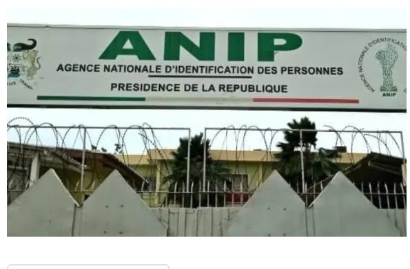 Regards croisés : L&rsquo;Anip au creux de la vague