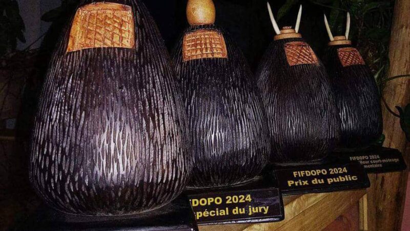 Culture : Clap de fin de la projection du film documentaire de Porto-Novo