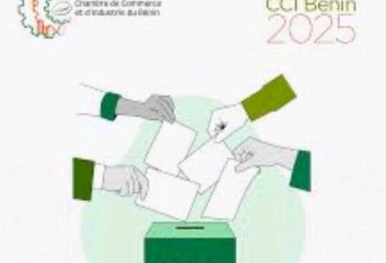 Élection des consulaires à la CCI Bénin : les listes provisoires des candidatures dévoilées