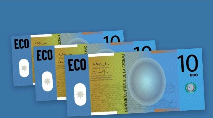 ECO : la CEDEAO accélère les préparatifs pour sa monnaie unique