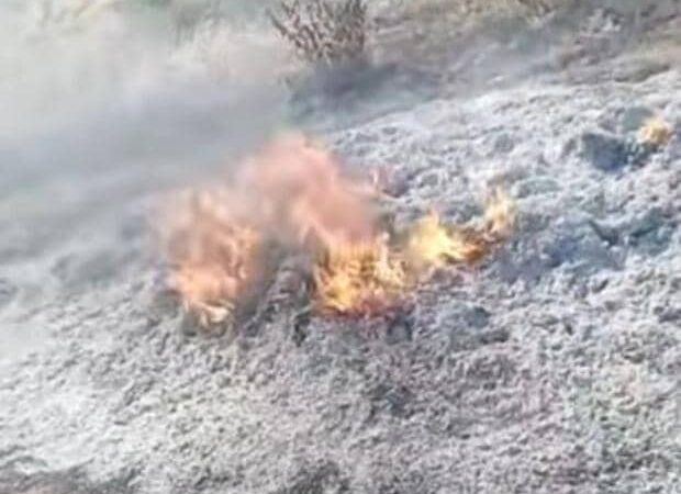 Commune de Sègbana: un champ de soja réduit en cendres