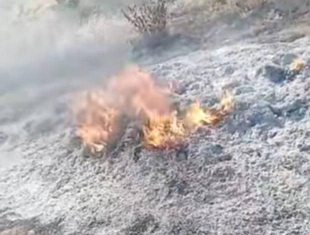 Commune de Sègbana: un champ de soja réduit en cendres