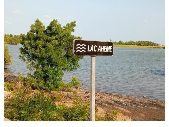 Panique à Dado: Un crocodile sème la panique dans le Lac Ahémé