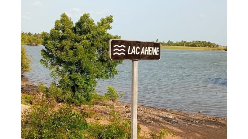 Panique à Dado: Un crocodile sème la panique dans le Lac Ahémé