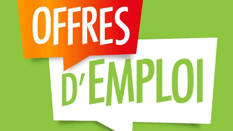 Offre d’emploi au Bénin : 85 postes ouverts via le PSIE pour les jeunes diplômés