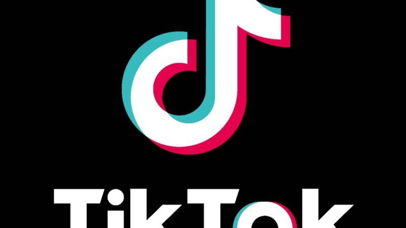 Bénin : un autre créateur de contenu TikTok dans le viseur de la justice