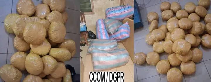 Bohicon : Deux trafiquants de chanvre indien arrêtés avec 130 kg de drogue