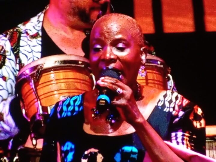 Angélique Kidjo aux Vodun Days 2026 : L’icône de la musique béninoise livre une performance inoubliable Culture