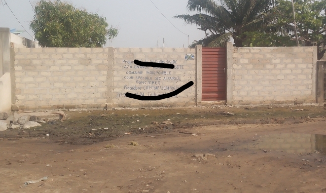 Ville de Cotonou: plusieurs vons cédées à des particuliers qui y érigent des murs
