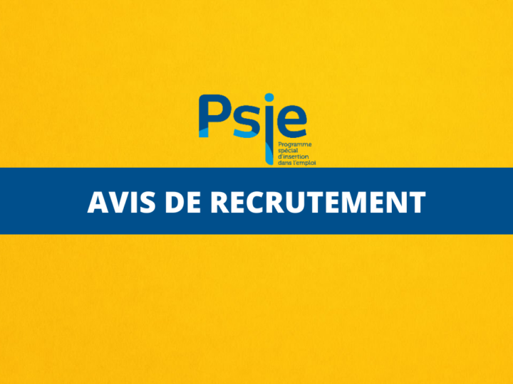 Emploi: le PSIE ouvre de nouvelles opportunités pour les jeunes diplômés
