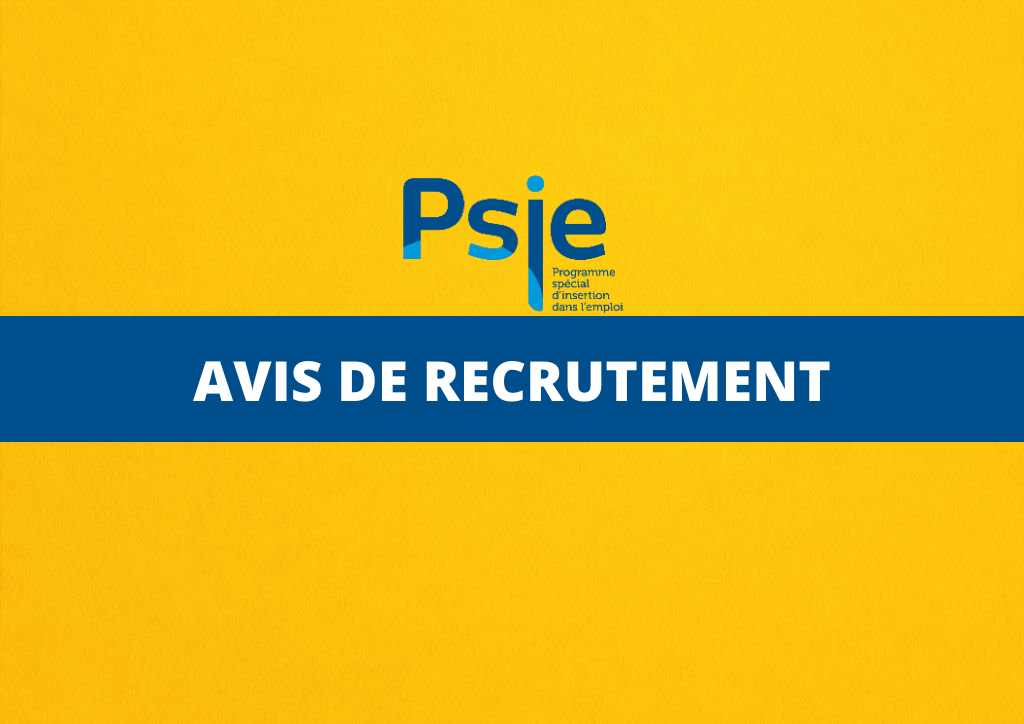 Offre d’emploi: Le PSIE recrute pour 135 postes ‎