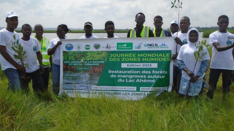 Objectif 30 mille plants de mangroves d&rsquo;ici 2025: L&rsquo;Ong Secours Nature engagée à sauvegarder l&rsquo;environnement à Kpétou
