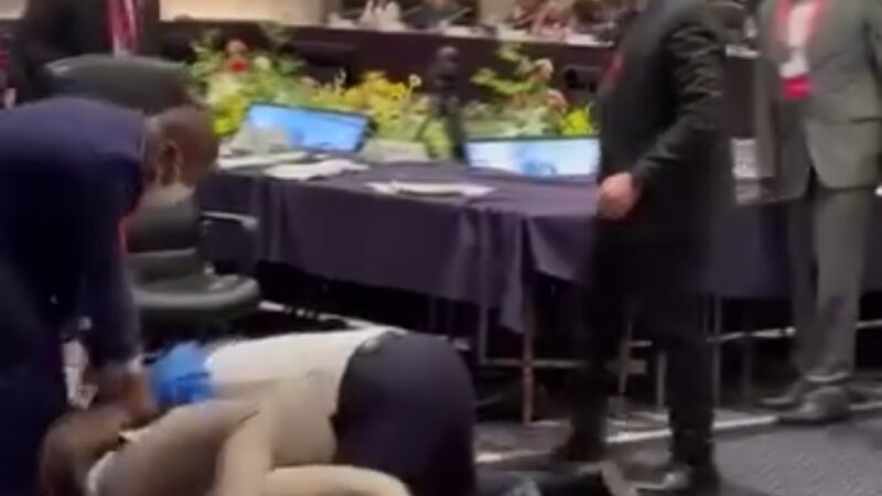 Japon : Des diplomates se donnent des coups de poing lors d&rsquo;une réunion sur le développement de l&rsquo;Afrique 