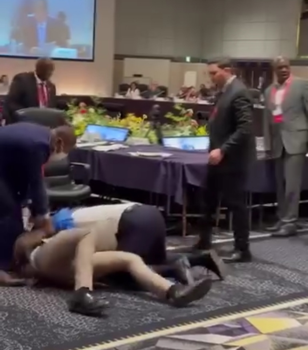 Japon : Des diplomates se donnent des coups de poing lors d&rsquo;une réunion sur le développement de l&rsquo;Afrique 