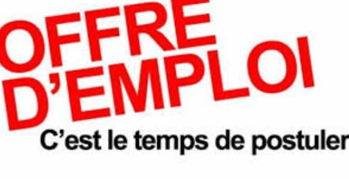 Opportunités d’emplois: Le PSIE recrute pour 46 postes