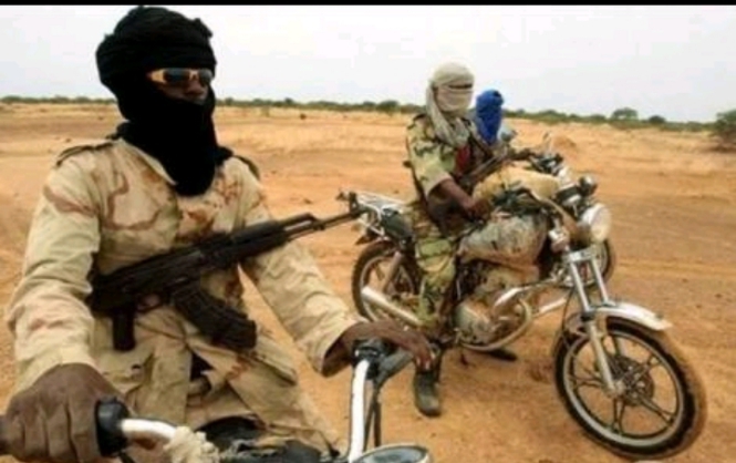 Niger : Plus de 10 000 litres d’essence destinés aux groupes terroristes interceptés