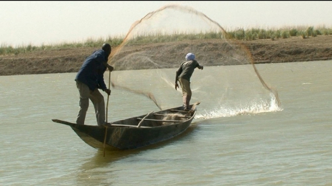Togo: La pêche maritime et lagunaire interdite à compter du 1er juillet  