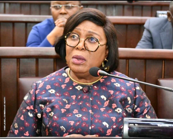 Journées de la fonction publique: Les agents de l&rsquo;État des départements des Collines et de la Donga à l&rsquo;honneur  ‎