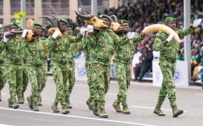 Bénin : recrutement annoncé de115 fonctionnaires des Eaux, Forêts et Chasse