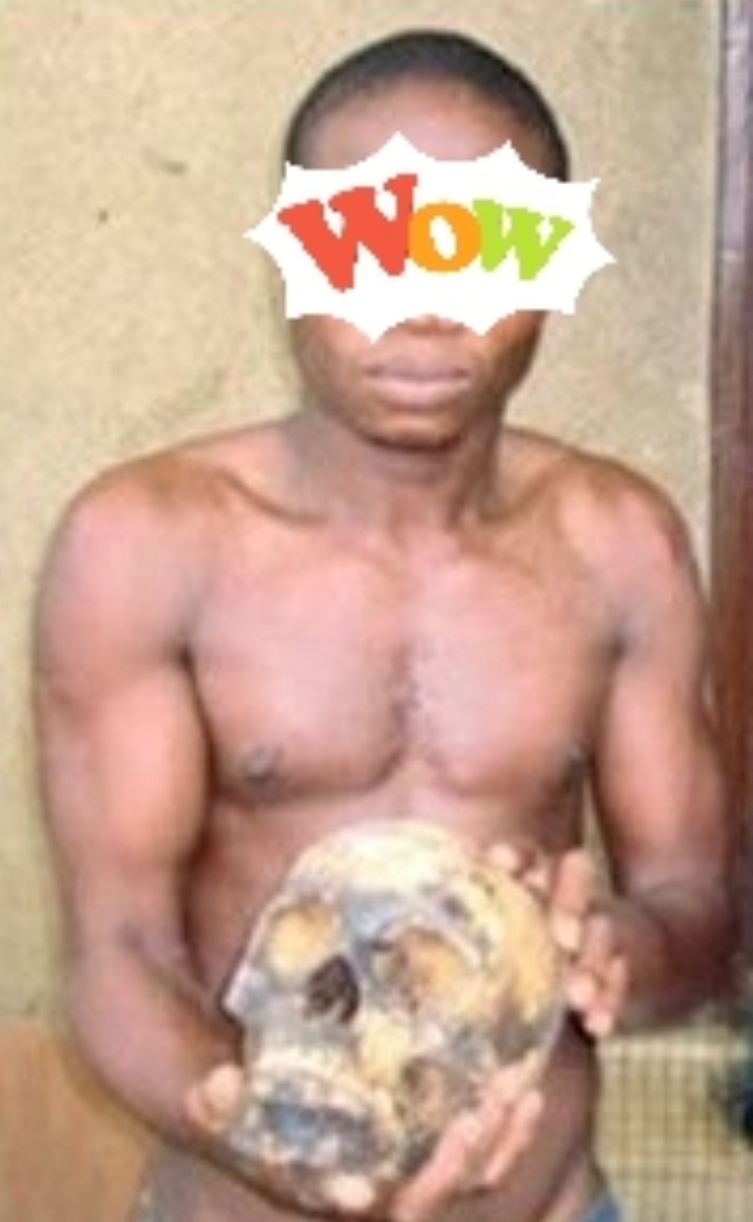 BENIN: afin de booster sa production d&rsquo;igname, un jeune homme profane la tombe de son frère et enlève son crâne pour des rituels