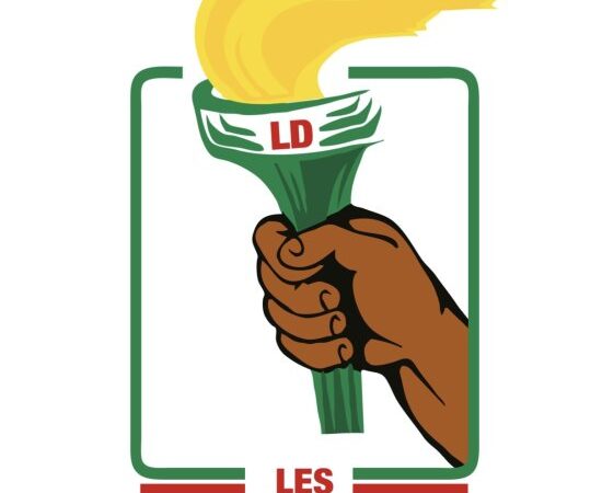 Décès tragique de Martin Hounga : les députés du parti Les Démocrates adressent neuf questions au Gouvernement