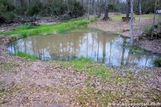 Bénin : un homme sans vie retrouvé dans un étang