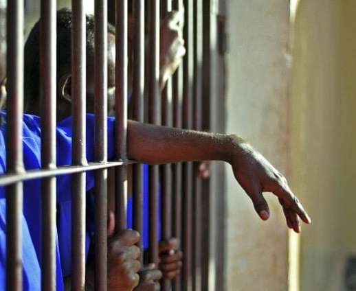 Prison civile de Cotonou: 14 détenus jugés pour détention de chanvre indien 