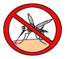 Bénin : Le gouvernement créé une agence pour lutter contre la malaria et les moustiques