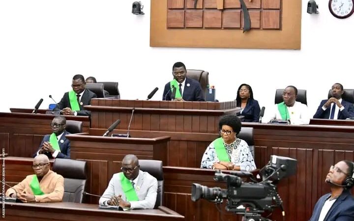 Assemblée nationale : Les députés convoqués en séance plénière 