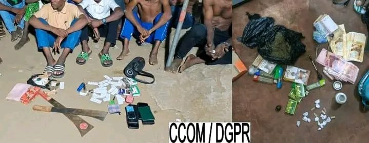 Ouidah : 20 personnes interpellées lors d&rsquo;une série d’opérations contre le trafic de chanvre indien