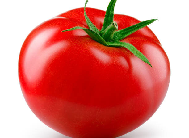 Burkina Faso : Ibrahim Traoré ferme les frontières de la tomate pour sauver l’industrie locale