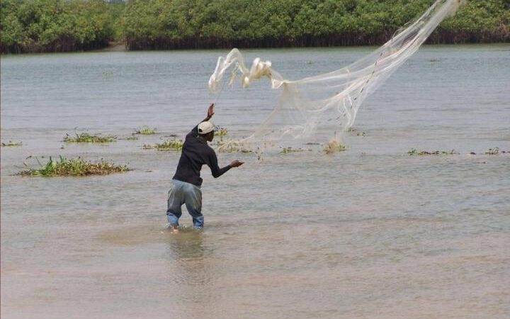 Gestion des ressources halieutiques: la pêche suspendue sur le lac Nokoué et la lagune de Porto-Novo 