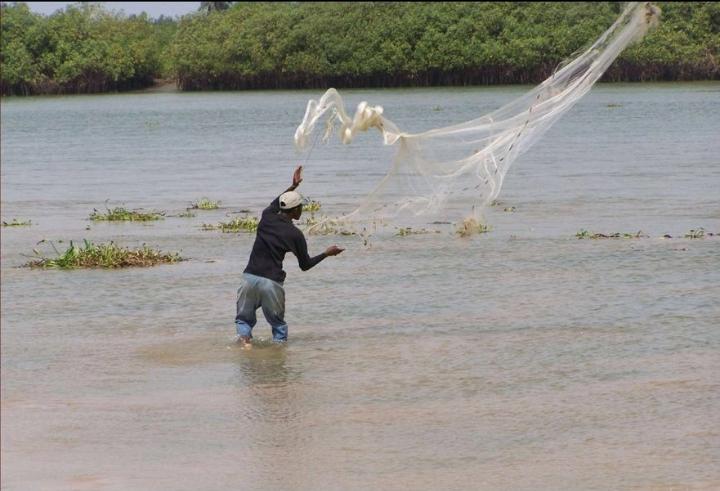 Gestion des ressources halieutiques: la pêche suspendue sur le lac Nokoué et la lagune de Porto-Novo 