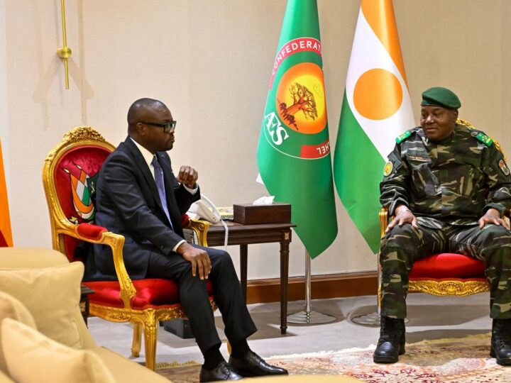 Diplomatie:le point de la rencontre Wadagni-Tiani