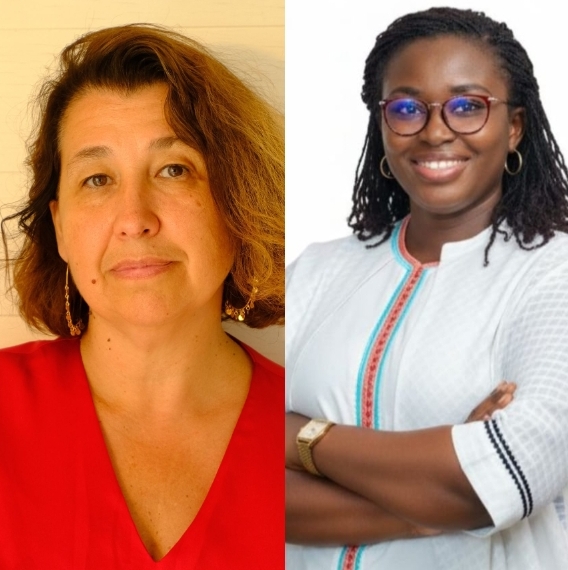 Webinaire du REMAPSEN sur la nouvelle géopolitique sanitaire et mondiale: Des experts de santé mobilisés pour un diagnostic clinique des enjeux pour l&rsquo;Afrique