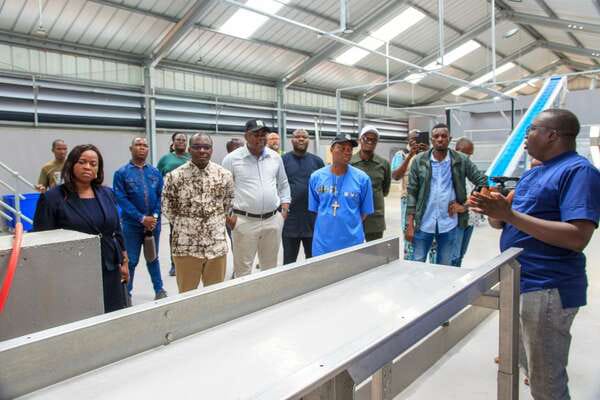 Secteur agricole : Le Bénin mise sur la transformation locale de ses productions