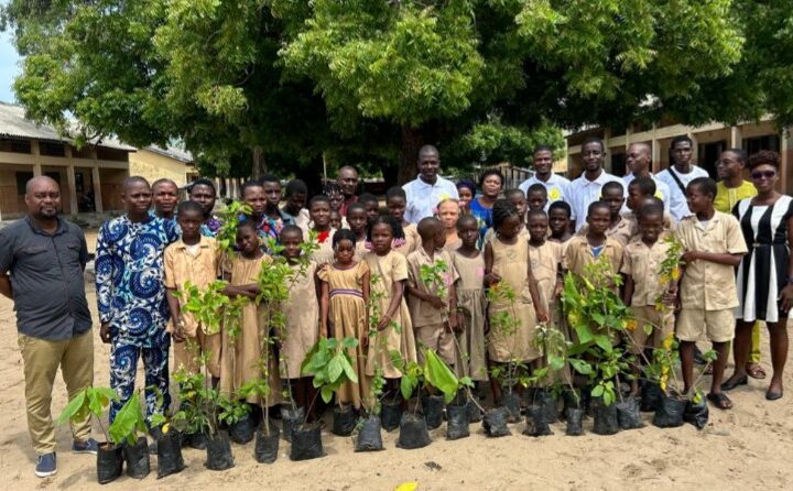 Journée nationale de l’arbre 2026: La Fondation BASo verdit l’EPP Cadjèhoun Centre et sensibilise à la protection de l’environnement
