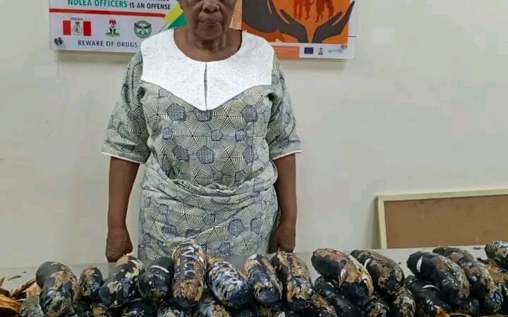 ‎Nigeria : Une septuagénaire arrêtée avec 13 kg de cocaïne dissimulés dans des bananes plantains