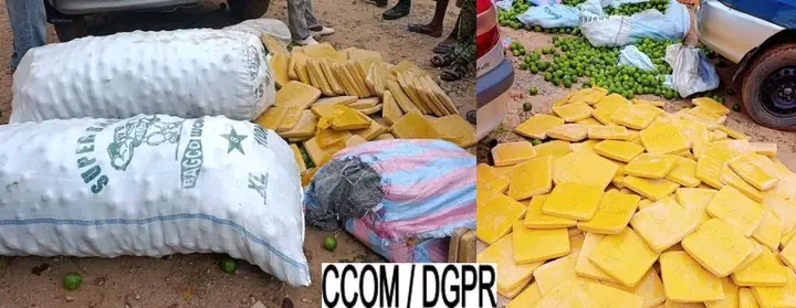 Lutte contre le trafic de stupéfiants : 226 plaquettes de chanvre indien découvertes sous des oranges dans un véhicule de transport à Parakou   ‎