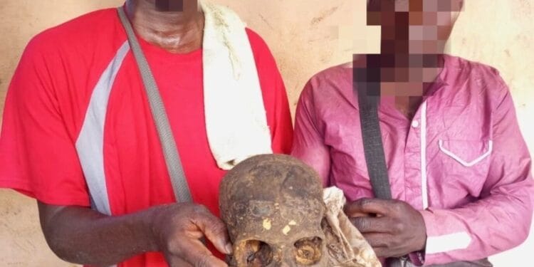 Abomey-Calavi : deux individus arrêtés après la découverte d&rsquo;un crâne humain dans un tricycle