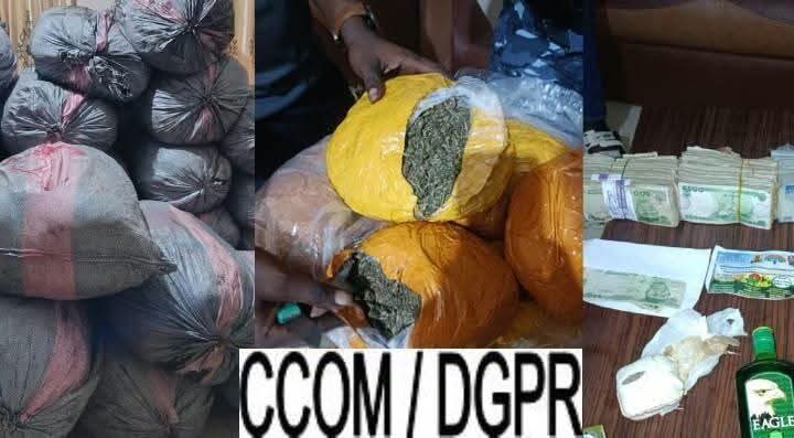 Trafic de drogue : la Police républicaine saisit 973 kg de chanvre à Krakè-Plage  ‎