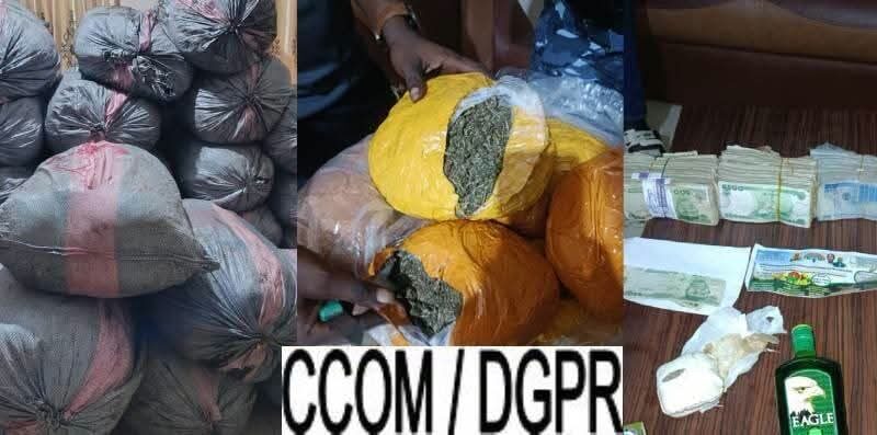 Trafic de drogue : la Police républicaine saisit 973 kg de chanvre à Krakè-Plage  ‎