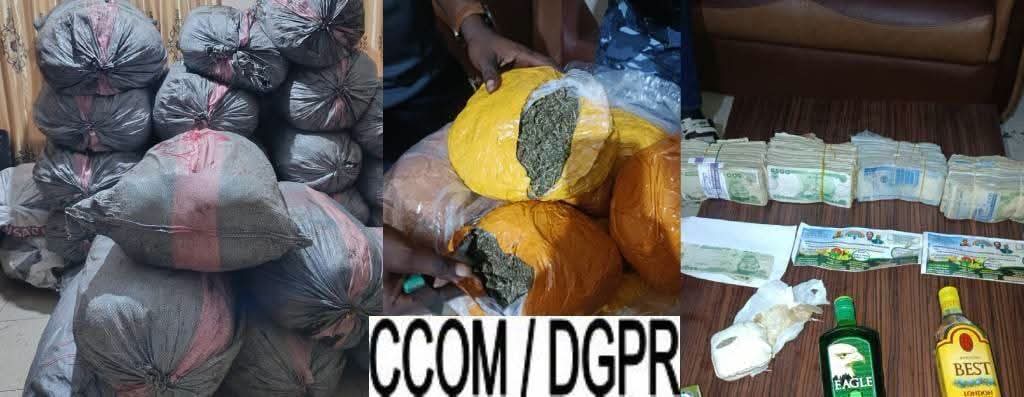 Trafic de drogue : la Police républicaine saisit 973 kg de chanvre à Krakè-Plage  ‎
