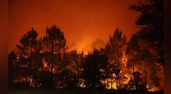 France : Un gigantesque incendie ravage la Gironde, plus de 12 000 personnes évacuées  ‎